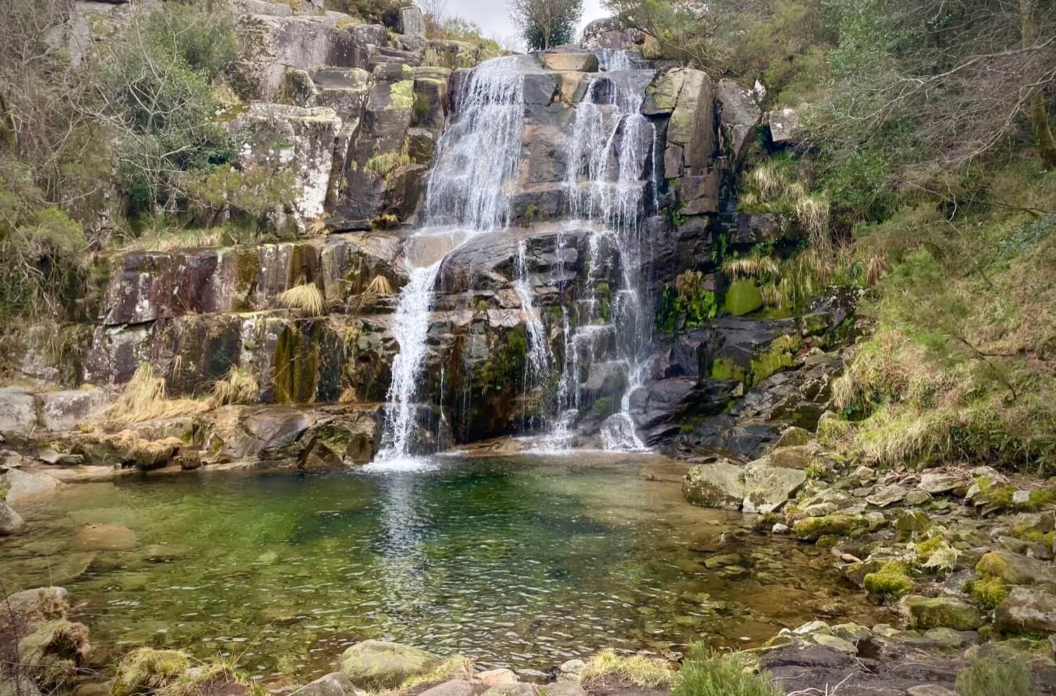 fervenza de casrinos